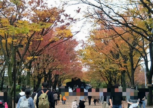 秋天一起去公園散步吧之二-代代木公園