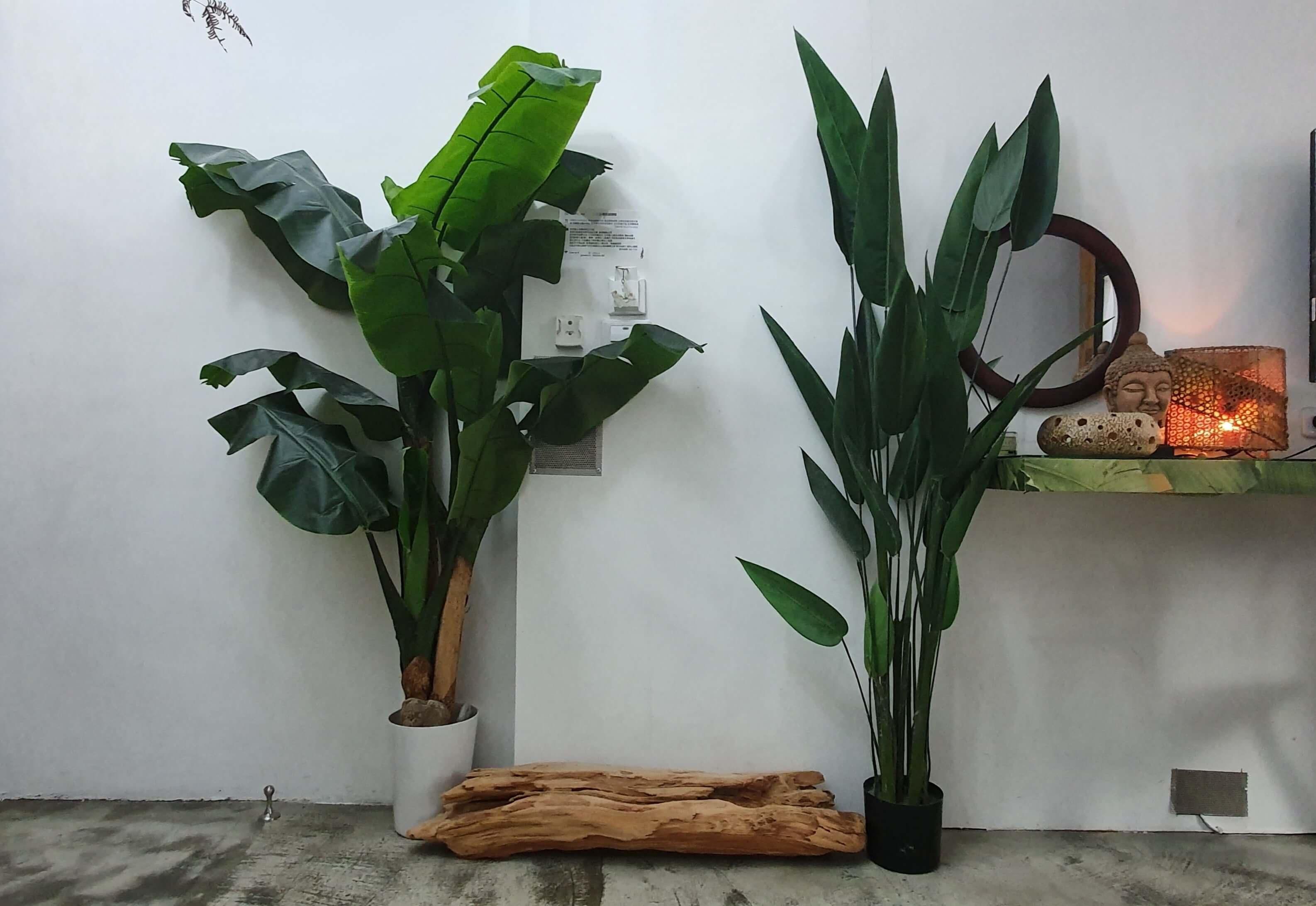 整間房用大量綠色植栽跟木頭擺設,還有泰國.尼泊爾.峇厘島風格的藝術品點綴