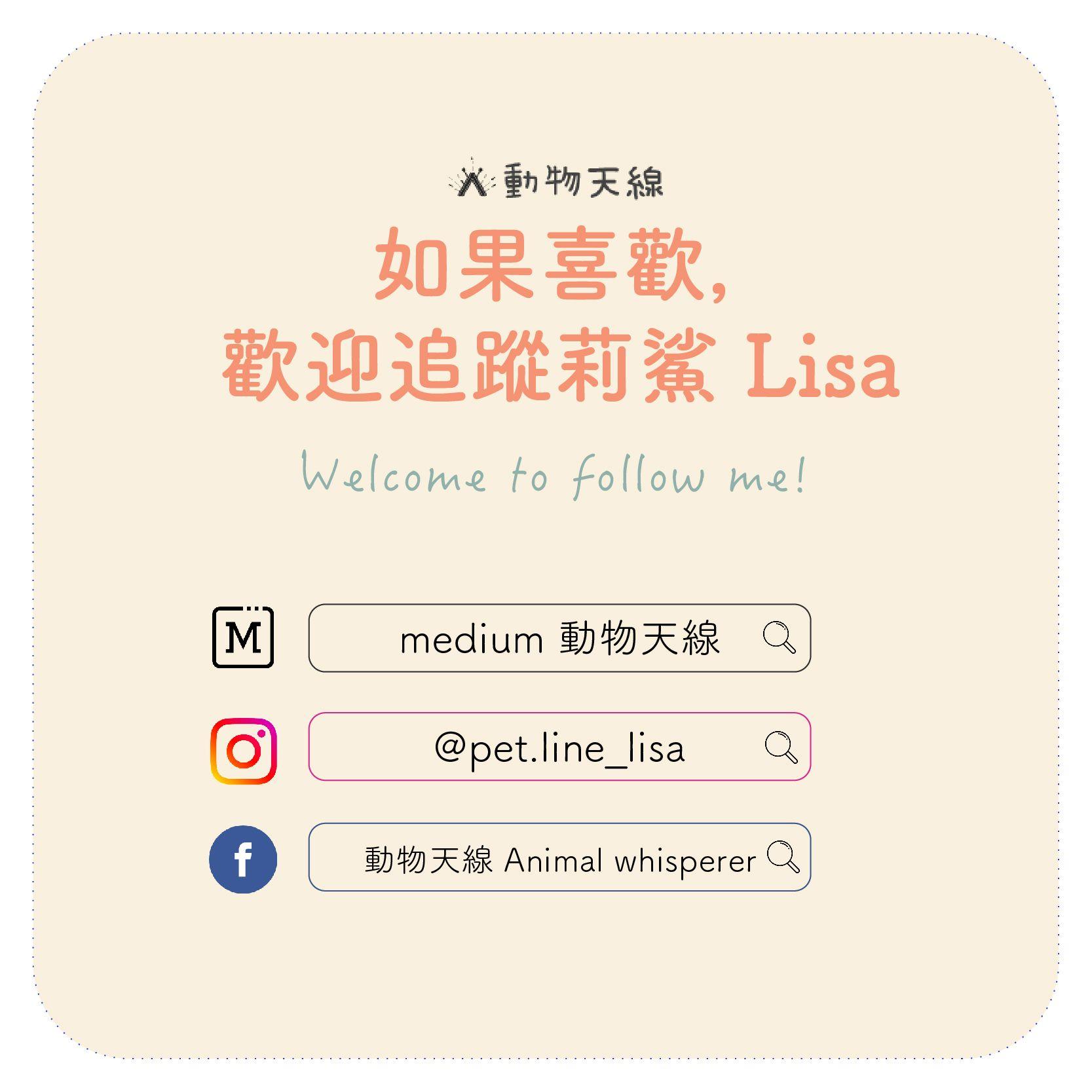 動物天線 LISA 追蹤 | IG / 臉書 FB - @pet.line_lisa 